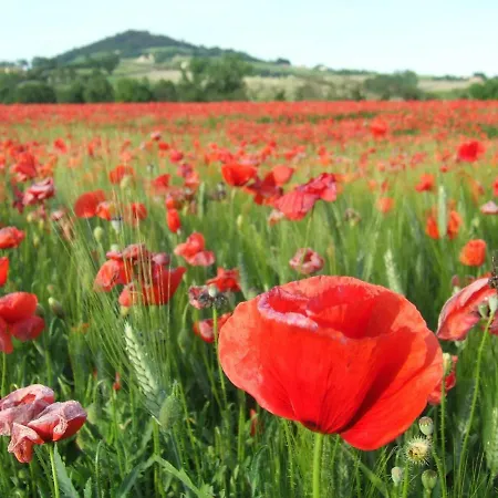 Apartamento Il Giardino Dell'upupa